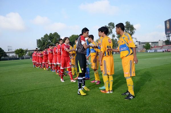 ¿Qué equipo cuenta con más canteranos jugando en la Liga MX?